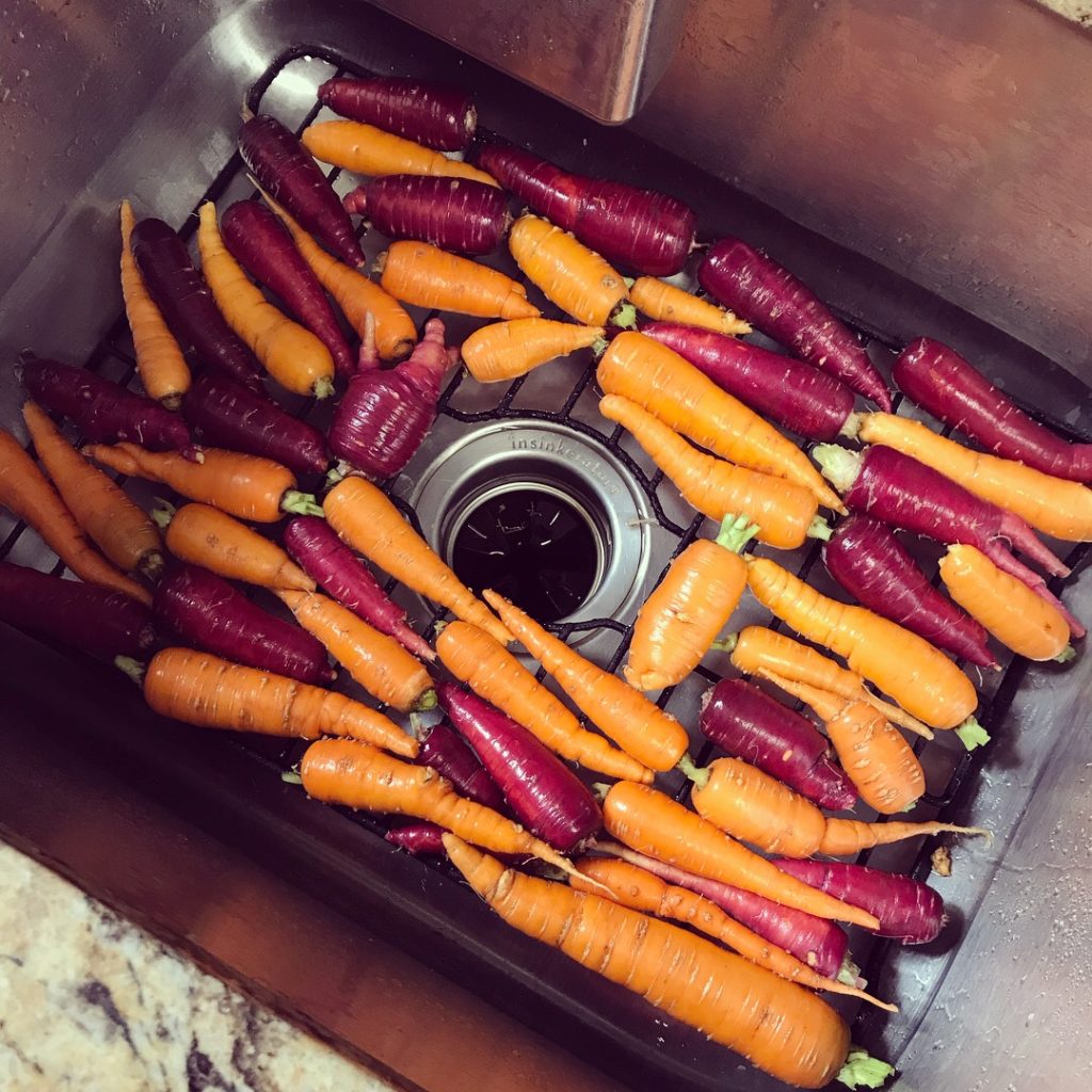 2018 in Review The Garden The Reitz Farm